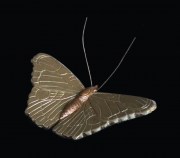 Urn mini vlinder dagpauwoog klein 800